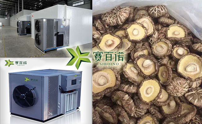 省电好用的香菇烘干机 香菇烘干机价格 香菇烘干机工艺