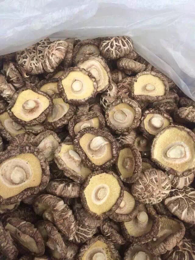 赛百诺香菇烘干机&nbsp;&nbsp;香菇烘干机价格&nbsp;&nbsp;香菇烘干机工艺