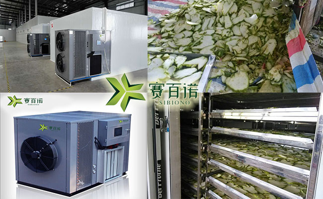 广东佛手烘干机 高效节能、安全环保 佛手烘干机价格