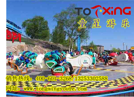 童星游乐设备有限责任公司