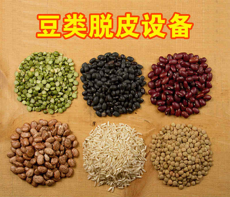 菏泽黄豆脱皮机最新价格 厂家直销山东中星  黄豆脱皮机厂家