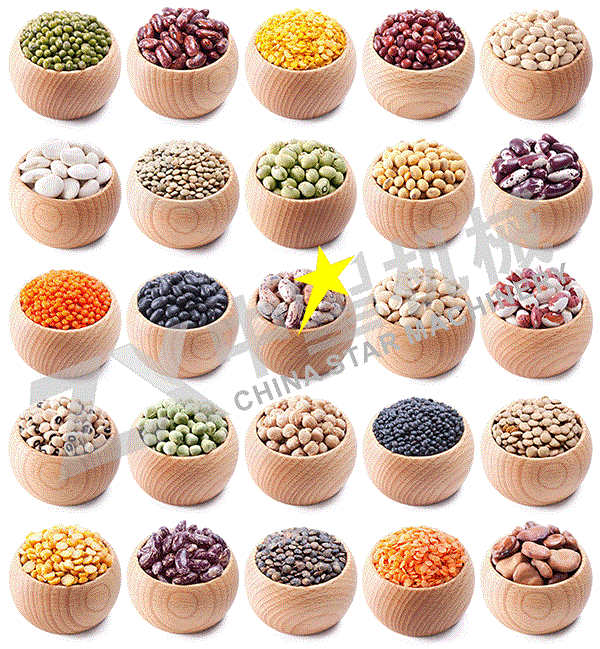 菏泽黄豆脱皮机最新价格 厂家直销山东中星  黄豆脱皮机厂家
