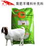 育肥羊精补料 育肥羊专用精补料配方