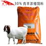 羊饲料预混料好还是浓缩料好
