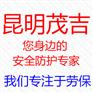 云南昆明梅思安2合1气体检测仪经销商_茂吉商贸