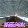 新旺兴农种植大棚建设8117生产建设养殖大棚