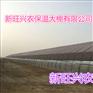 河北新旺兴农圆拱蔬菜保温大棚1717养殖大棚