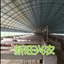 新旺兴农养殖大棚7420种植大棚