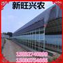 大棚建设 种植大棚 保温板房新旺兴农为您服务