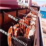 珠海肉牛犊品种选择