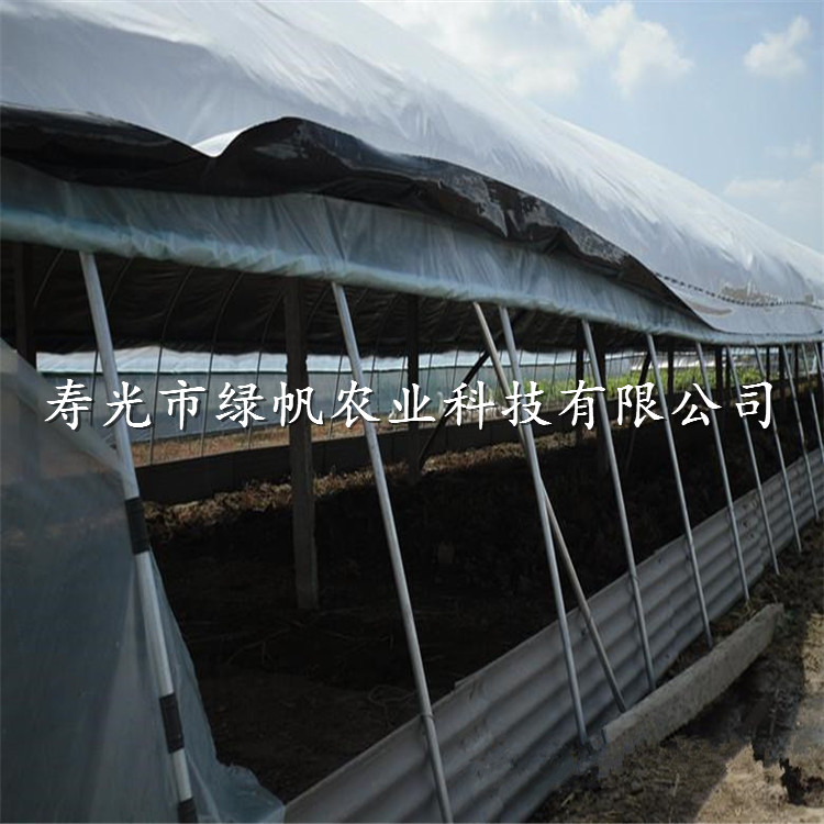10丝国产黑白膜 12丝黑白膜 13丝黑白膜 养殖膜  养殖专用膜  12丝13丝黑白膜