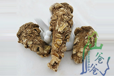 价格优惠的山爸爸当归头推荐：当归头生产厂
