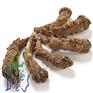 价格超值的当归头推荐 当归片价格范围