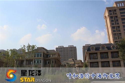 岩片漆价格,岩片漆,星龙漆(多图)  岩片漆厂家  岩片漆与真石漆区