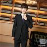 供应 2017年兴派服饰男式西服定制