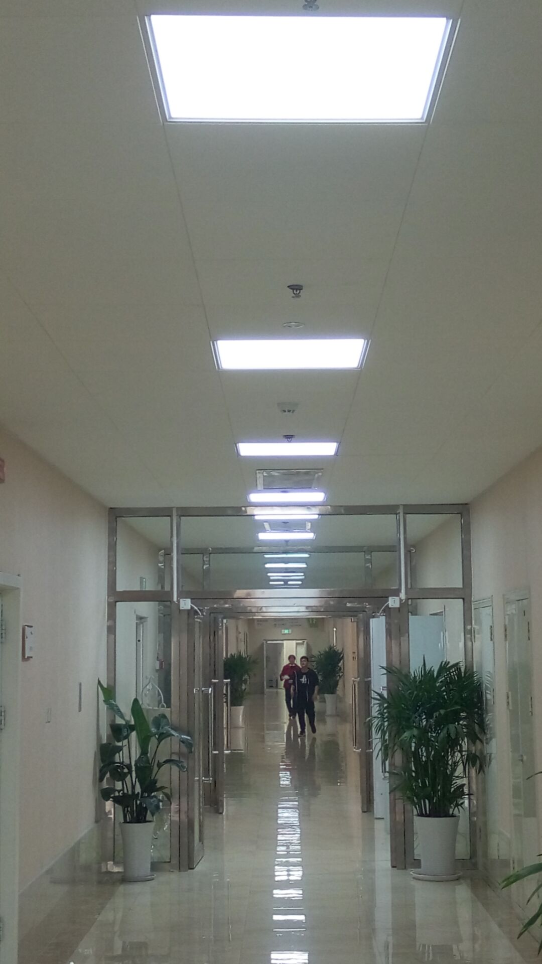 质量可靠的工装吊顶材料火热供应中|供应工 工程吊顶