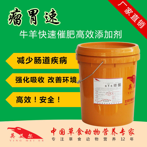 肉牛怎样快速育肥 大型肉牛育肥厂 饲料