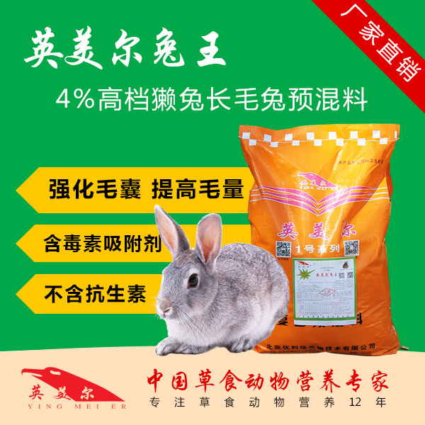 怎样去提高兔毛产量的高SS长毛兔的养殖方法 饲料