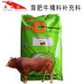 肉牛育肥牛精料补充料 育肥牛精补料 批发