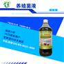 养鸽能防止鸽拉稀用的em菌多钱能买到原菌原液