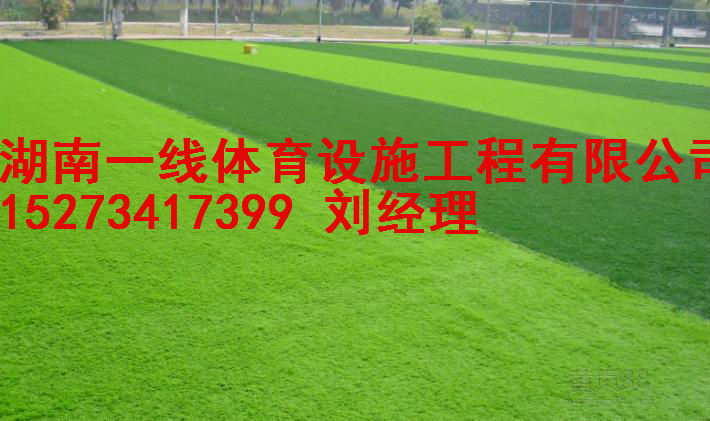 湘潭县足球场人造草施工报价湖南一线体育