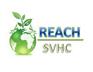 宁波新REACH测试