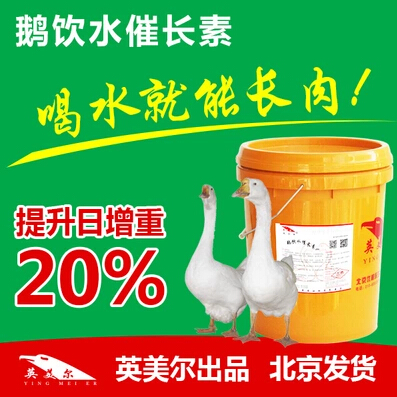 怎样育肥鹅长得又大又快 肉鹅饲料配方