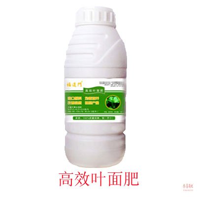 叶面肥在云南普洱茶叶上效果明显  水溶肥