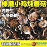 重庆酉阳苗族自治县东北特产专卖店 张记东
