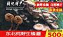 周口东北特产专卖店 张记东北特产野生榛蘑