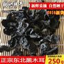 项城东北特产专卖店 东北黑木耳批市场 张