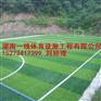 湘潭县专业承接足球人造草皮施工建设