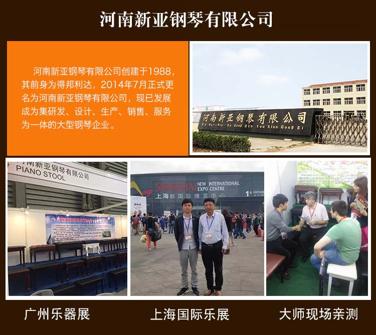 河南新亚钢琴有限公司