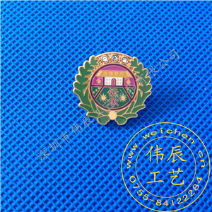 哪里有做五金胸徽，深圳胸徽厂，定制五金司徽  金属徽章  深圳金属徽章  广东徽章