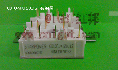 GD10PJK120L1S红邦IGBT模块