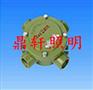 BHD51/3/4防爆接线盒/华荣三通接线盒