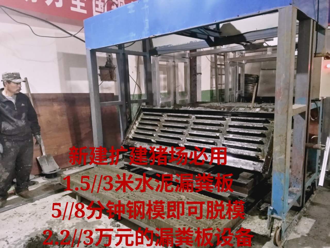 求购养猪设备&nbsp;&nbsp;猪限位栏