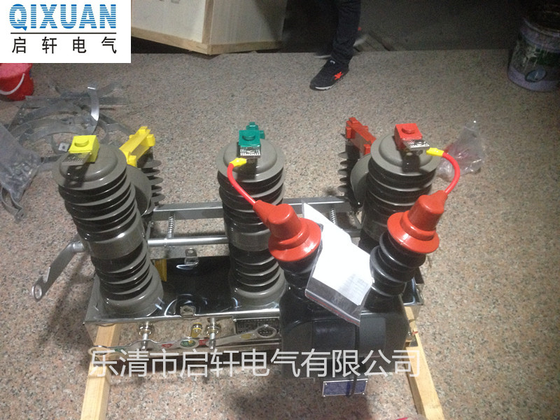 最佳选择ZW32-12F/630杆上看门狗分界开关批发