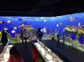 互动水族馆,点燃孩子的热情