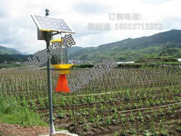 等离子体太阳能高效率杀虫灯&nbsp;&nbsp;安全系数高&nbsp;&nbsp;低温等离子体&nbsp;&nbsp;无污染