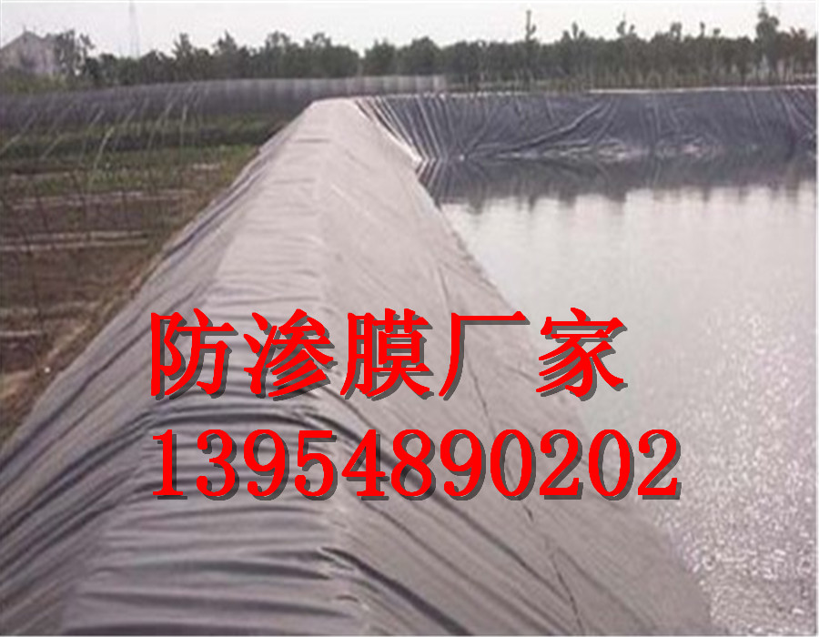 双桥鱼塘防渗膜双桥藕池防渗膜