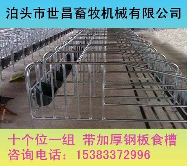 母猪保胎栏 育肥猪单体栏厂家促销价格  母猪定位栏  定位栏厂家