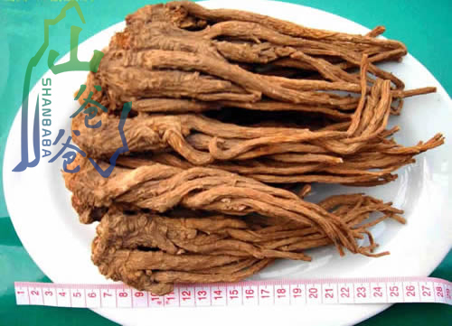 供应定西优惠的当归，当归片代理加盟  当归头