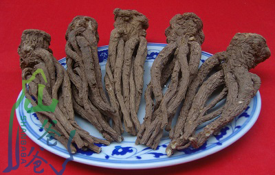 专业的当归片|山爸爸提供划算的山爸爸无硫  山爸爸无硫当归