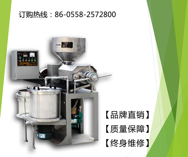 榨油机 阜阳双龙粮油设备亚麻籽榨油机厂家&nbsp;&nbsp;茶籽榨油机&nbsp;&nbsp;核桃 杏仁榨油机