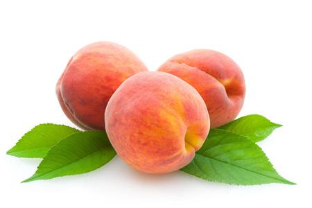 泰安舜泰园艺场青岛市初夏美梨树苗