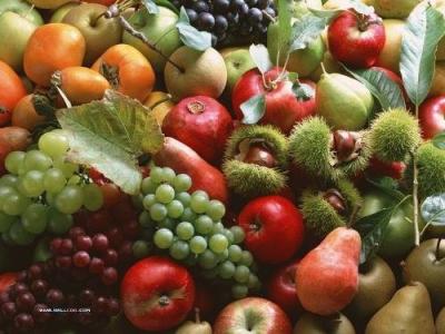 泰安舜泰园艺场淄博市初夏美梨树苗