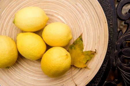 泰安舜泰园艺场淄博市初夏美梨树苗