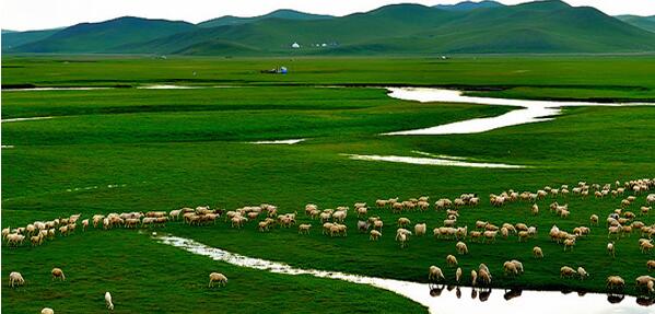呼伦贝尔大草原旅游多少钱——呼伦贝尔汽车&nbsp;&nbsp;呼伦贝尔汽车自驾运动&nbsp;&nbsp;户外旅游&nbsp;&nbsp;呼伦贝尔户外运动