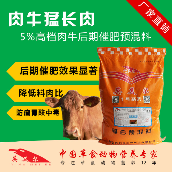 AA老黄牛如何育肥_什么牛饲料好